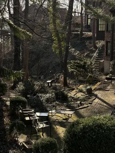 Sun-dappled patio dreams.